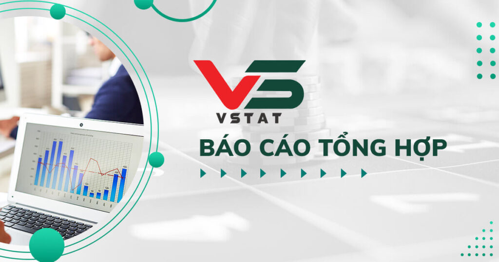 vstat-F.I-bao-cao-tong-hop (1)