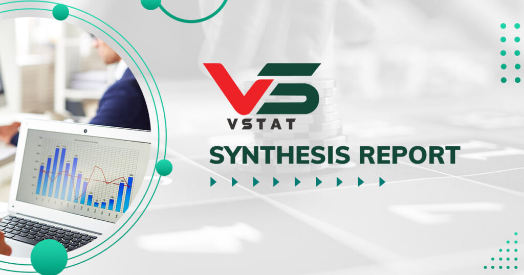 VStat - Synthesis Report